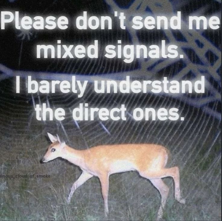 Deerposts tweet media