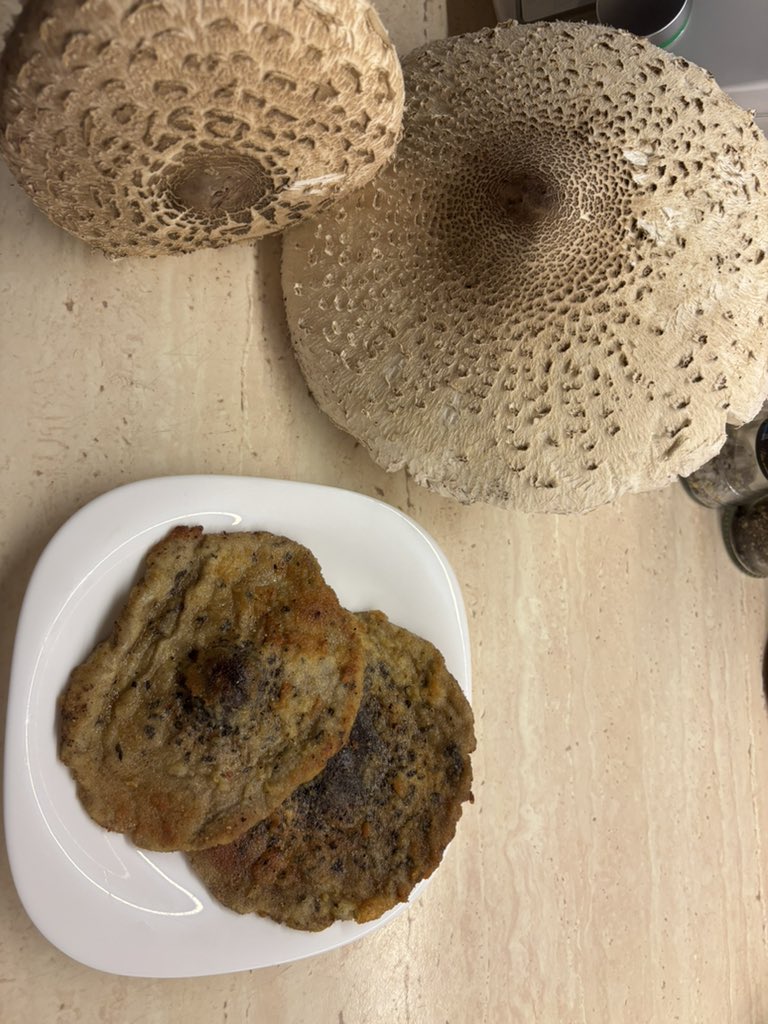 Na kolację, smaki dzieciństwa 😎 
#sowa #kania