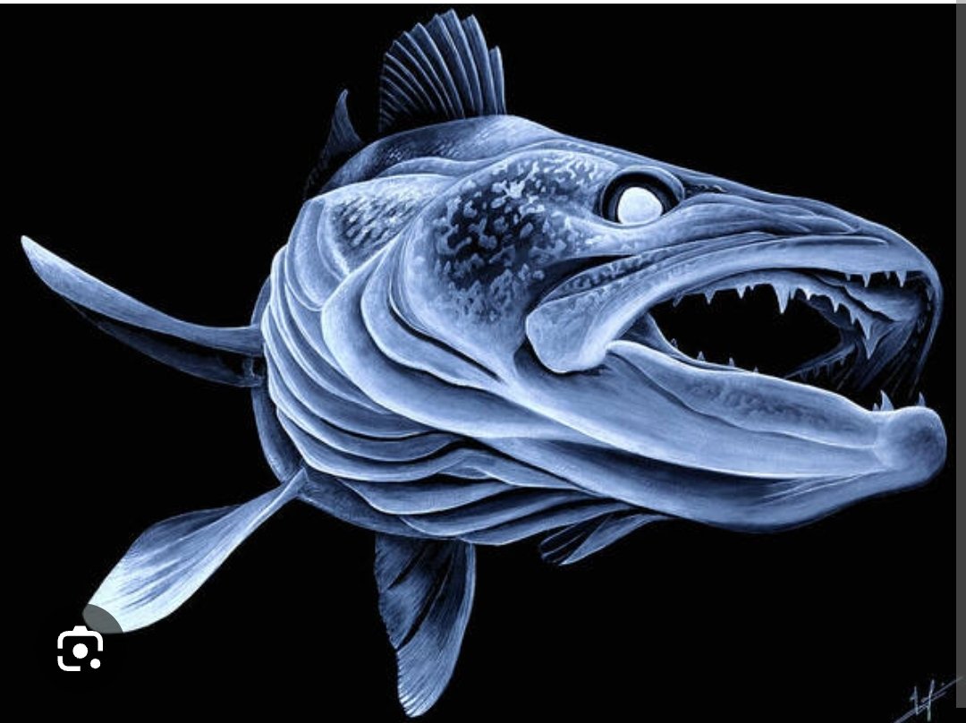 $BigFishPoker tweet media