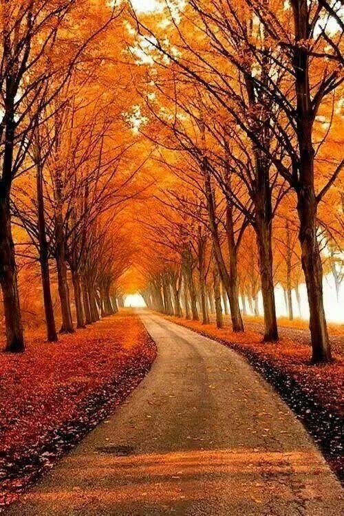 oh_nuh's tweet photo. Heaven on earth 🥰 https://t.co/ugyJDq4QpG
