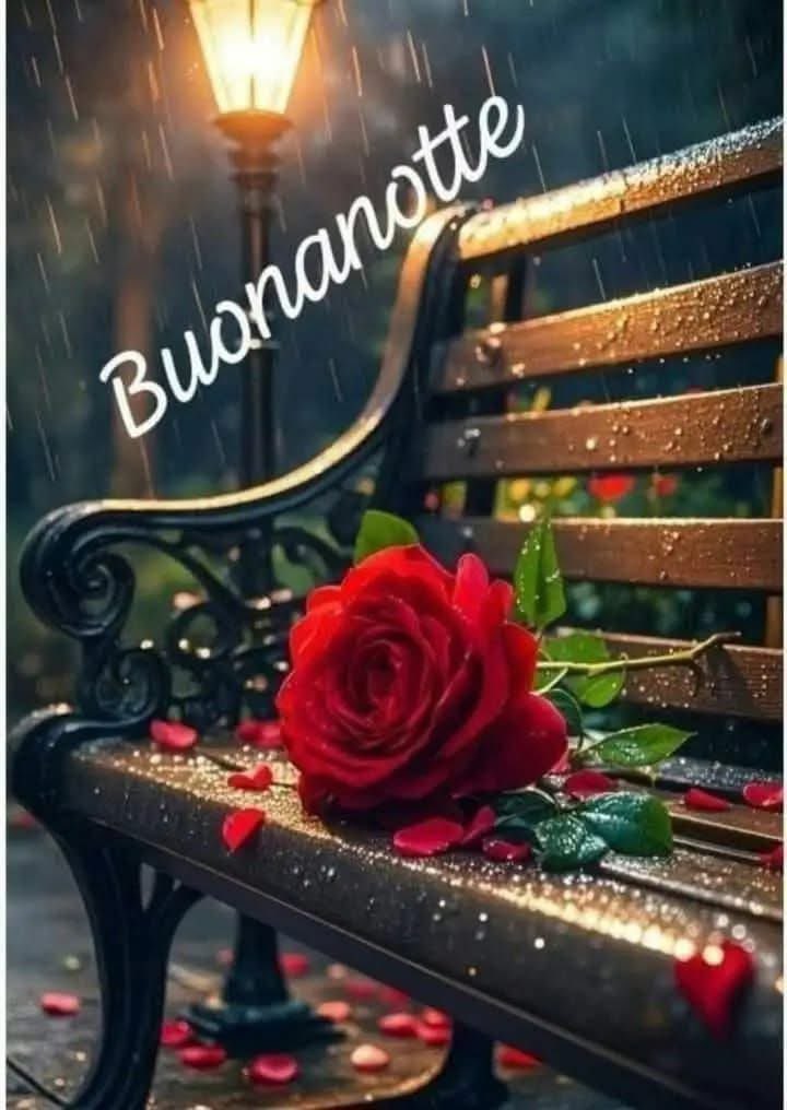 RITABIANCHi56 tweet media