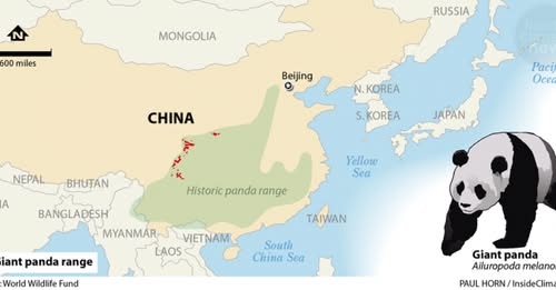 ecoclimax's tweet photo. Saving the Giant Panda: From Bamboo Forests to Protected Parks
https://t.co/GoKGbaHckD

#panda https://t.co/QO99vHHqc5