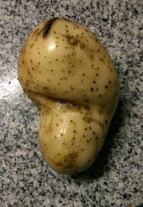 SoySimpsonito's tweet image. ¿Qué no la reconocen cuando la ven?