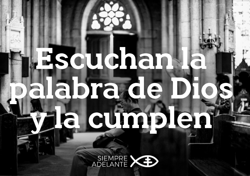 #EvangelioDelDía|   Lc 8, 19-21. Mi madre y mis hermanos son estos: los que escuchan la palabra de Dios y la cumplen. archisevillasiempreadelante.org/palabraviva-23…

#PalabraViva #SiempreAdelante