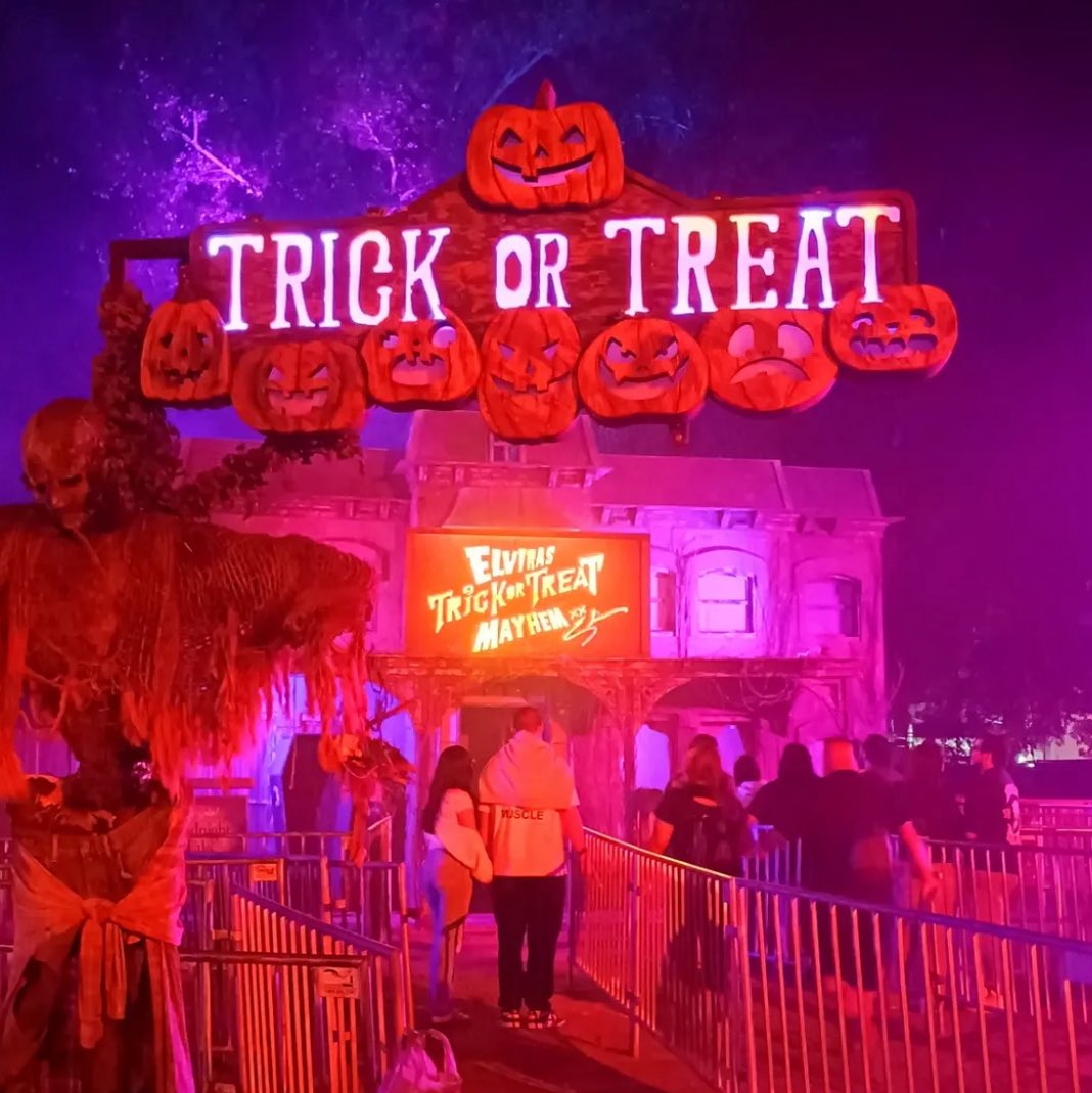 Everything Elvira Clips + Photos tweet media