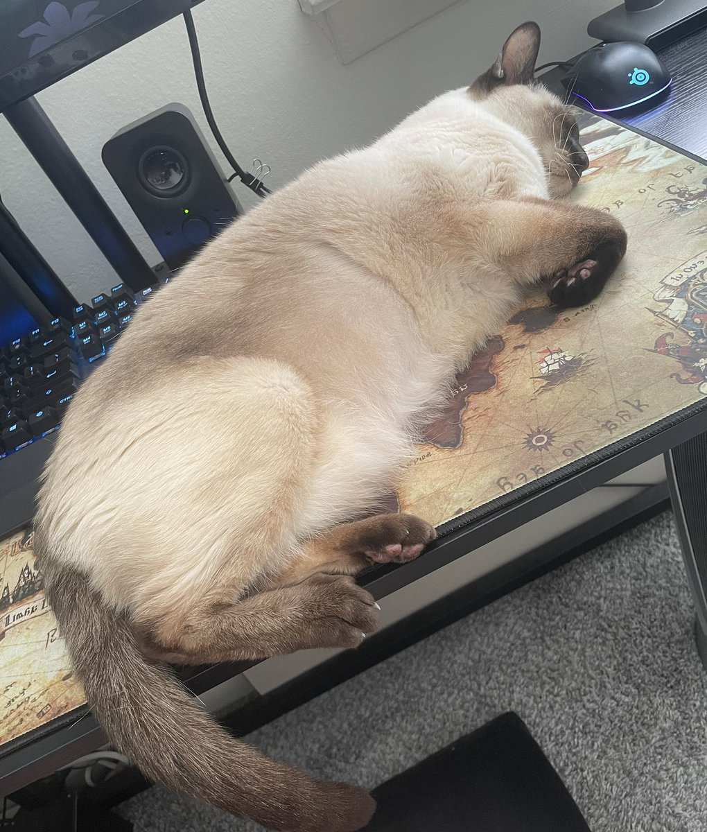 LadyKitisa's tweet photo. Rest well Seeley. I’ll miss you greatly. https://t.co/J6G25kwBjn