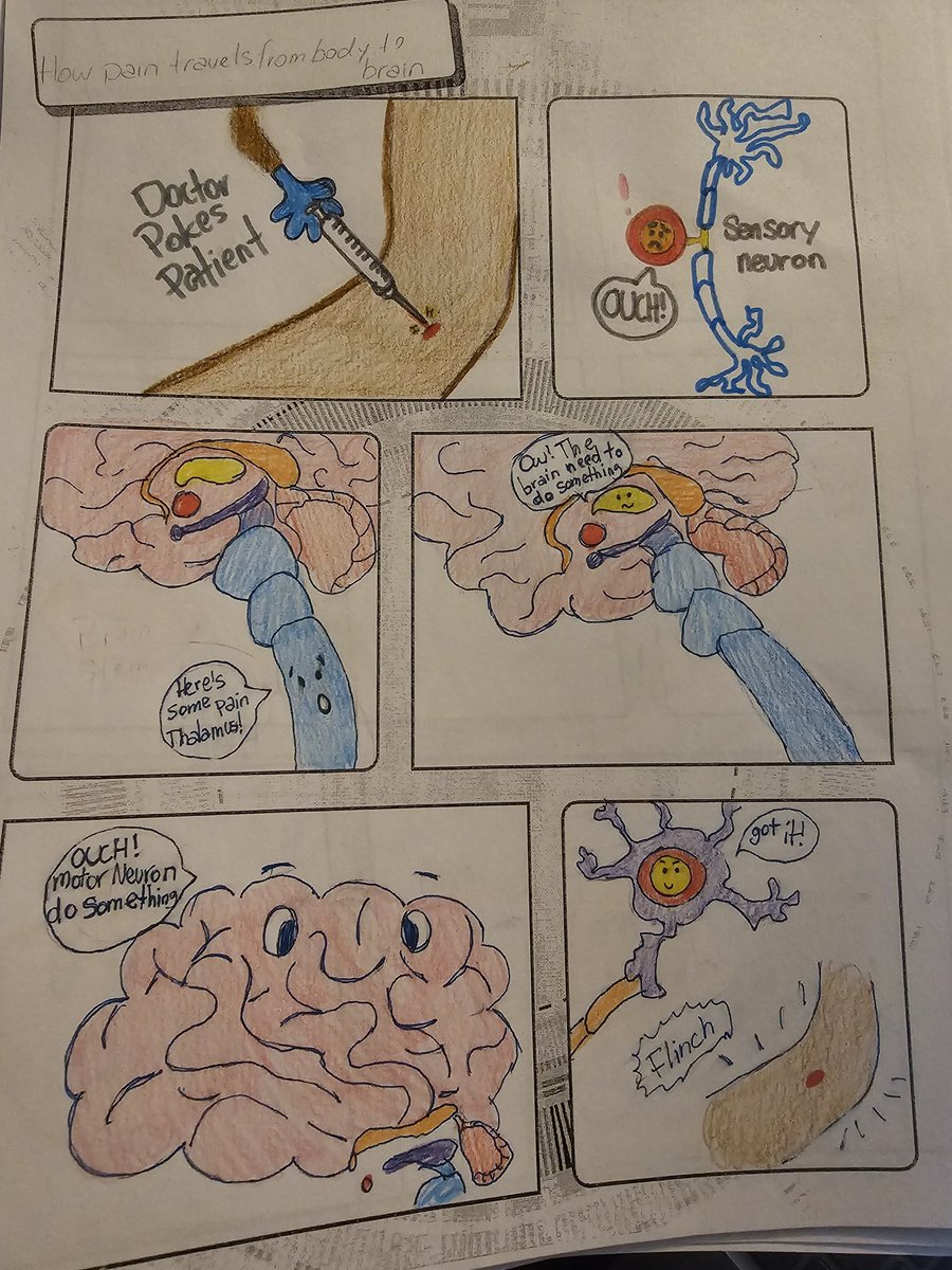 MrsWebstersRoom's tweet image. Give your students chances to be creative in #HistoryClass, you won&apos;t regret it!

Check these Neuron Coming Strips my @HumbleISD_AHS #Psychology students ts made last week. I was blown away by their efforts! It really gave them a chance to show off what they&apos;ve learned this unit!…