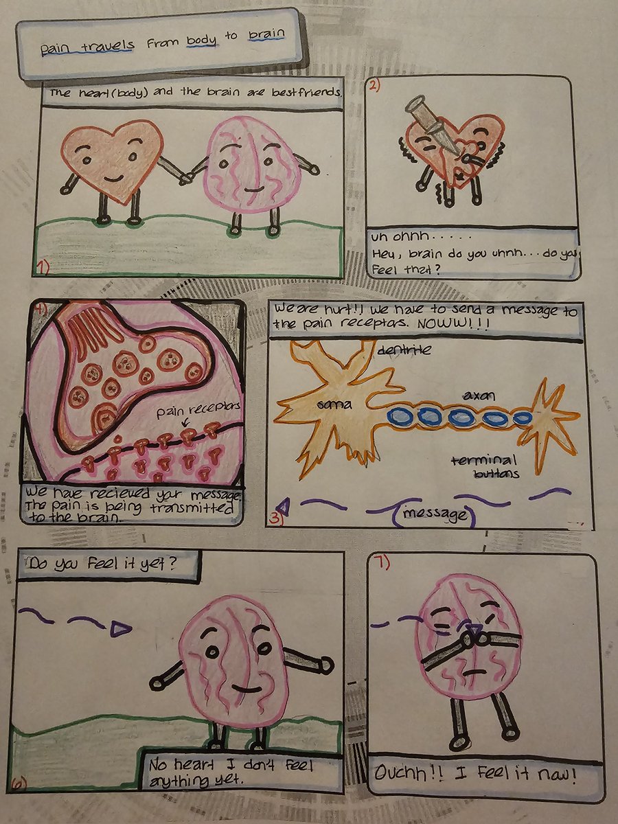 MrsWebstersRoom's tweet image. Give your students chances to be creative in #HistoryClass, you won&apos;t regret it!

Check these Neuron Coming Strips my @HumbleISD_AHS #Psychology students ts made last week. I was blown away by their efforts! It really gave them a chance to show off what they&apos;ve learned this unit!…