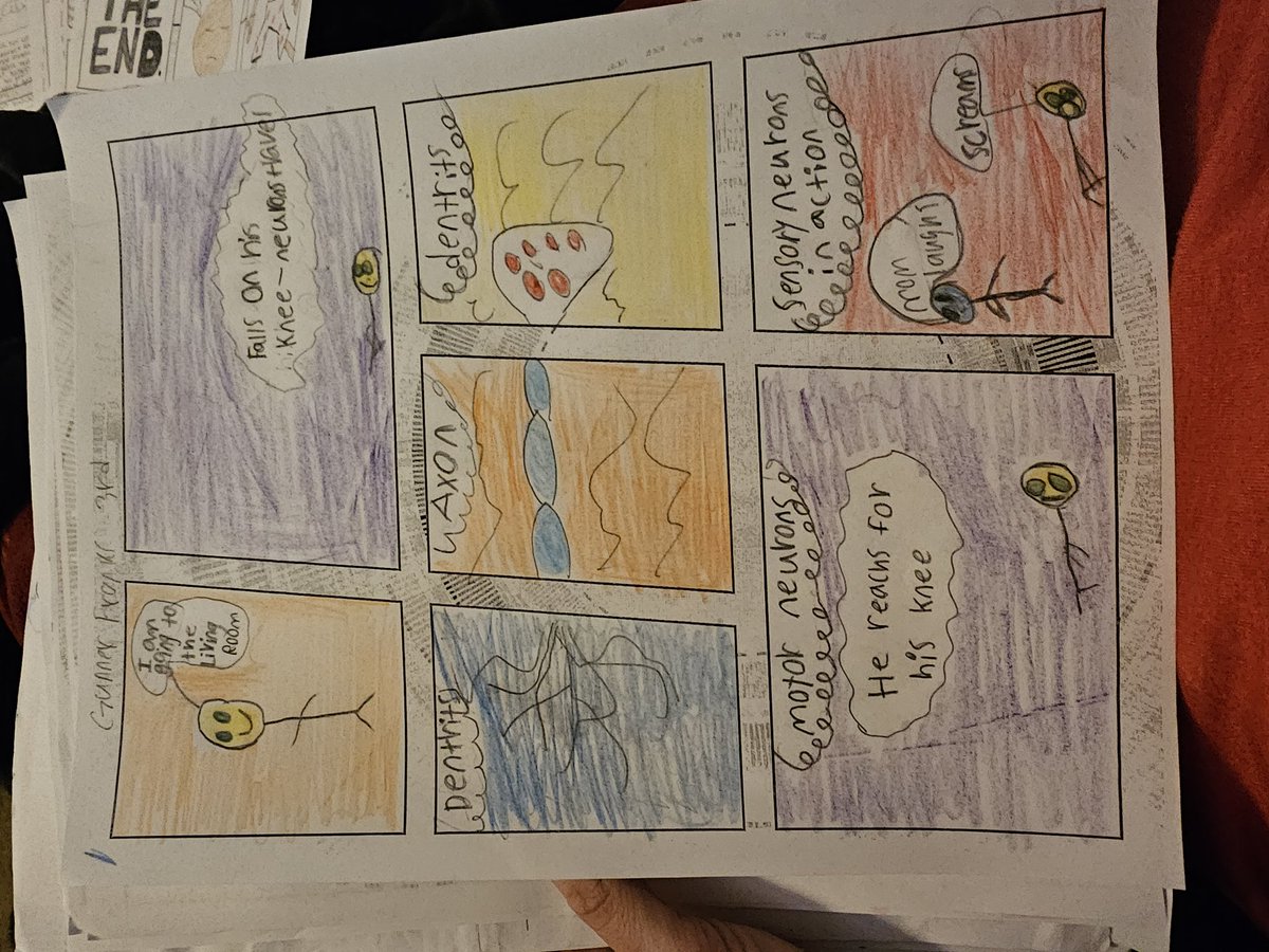 MrsWebstersRoom's tweet image. Give your students chances to be creative in #HistoryClass, you won&apos;t regret it!

Check these Neuron Coming Strips my @HumbleISD_AHS #Psychology students ts made last week. I was blown away by their efforts! It really gave them a chance to show off what they&apos;ve learned this unit!…