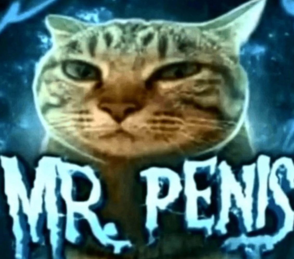 Thrd.r (@thrd_r) on Twitter photo 