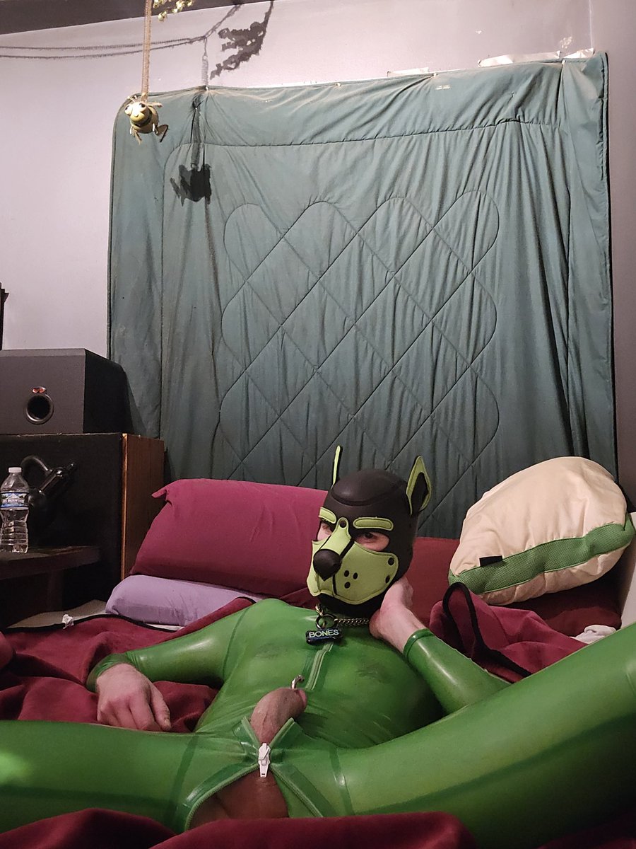 Sub Pup Bones tweet media