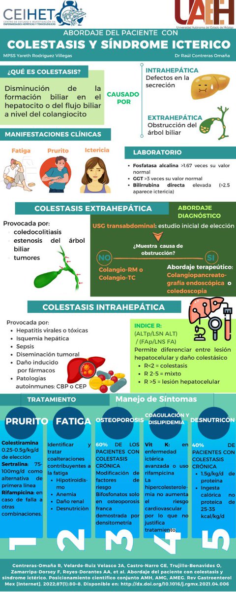 💢COLESTASIS  Y  SÍNDROME  ICTÉRICO

#ENARM_INTENSIVO #ESTUDIA_MEDICINA