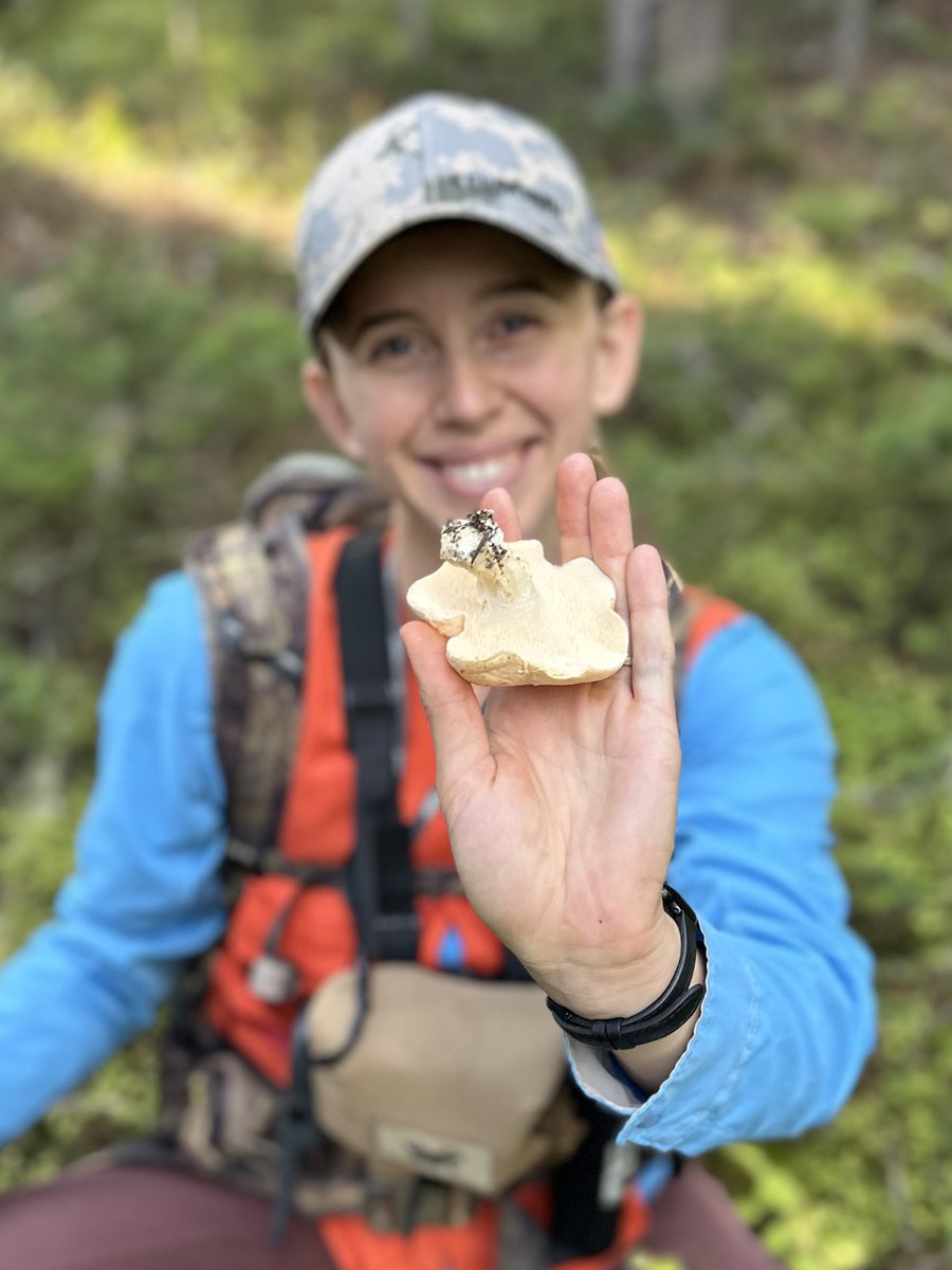 Every forager eventually learns: abundance is relative. A “huge” patch one year might vanish the next. Gratitude is part of the skill.