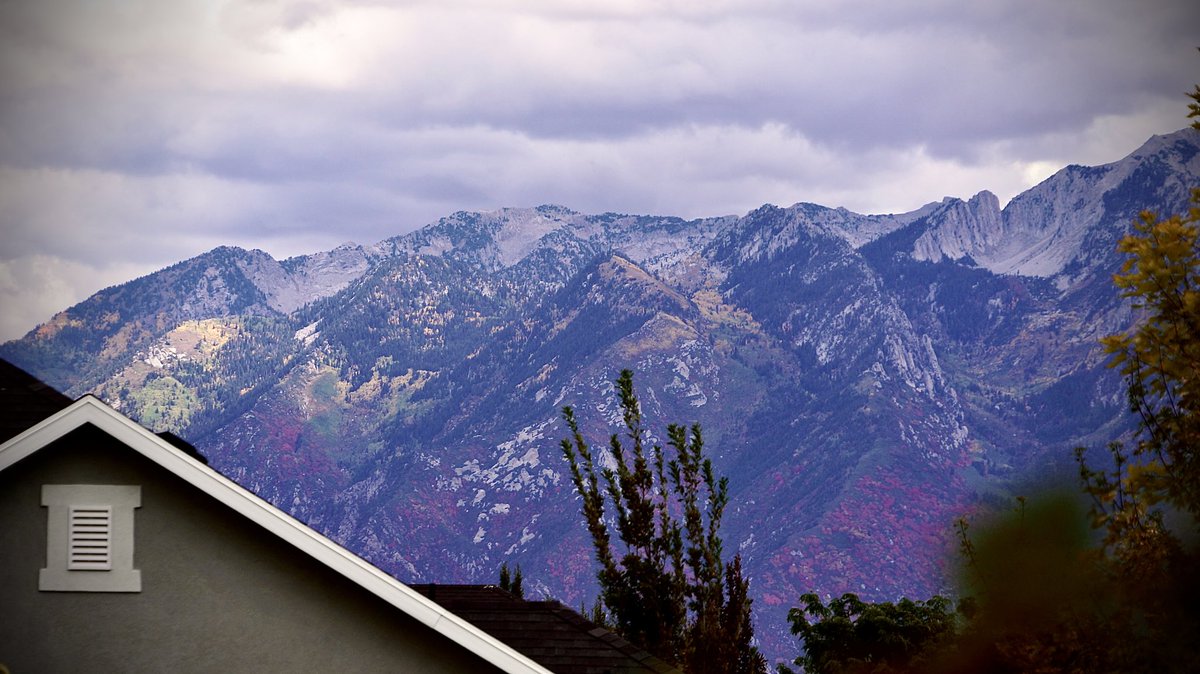 Brien McElhatten (@brienreports) on Twitter photo A splash of fall color in the Wasatch Mountains A splash of fall color in the Wasatch Mountains
