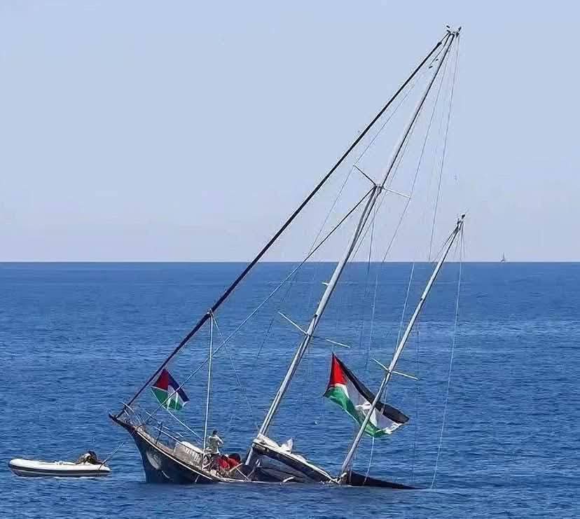 hogerborgare's tweet image. 🤡🎪