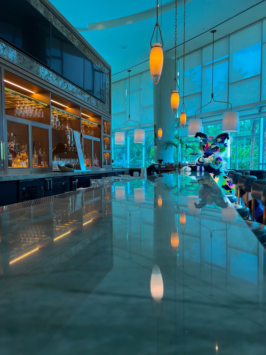 Nova Cat tweet media