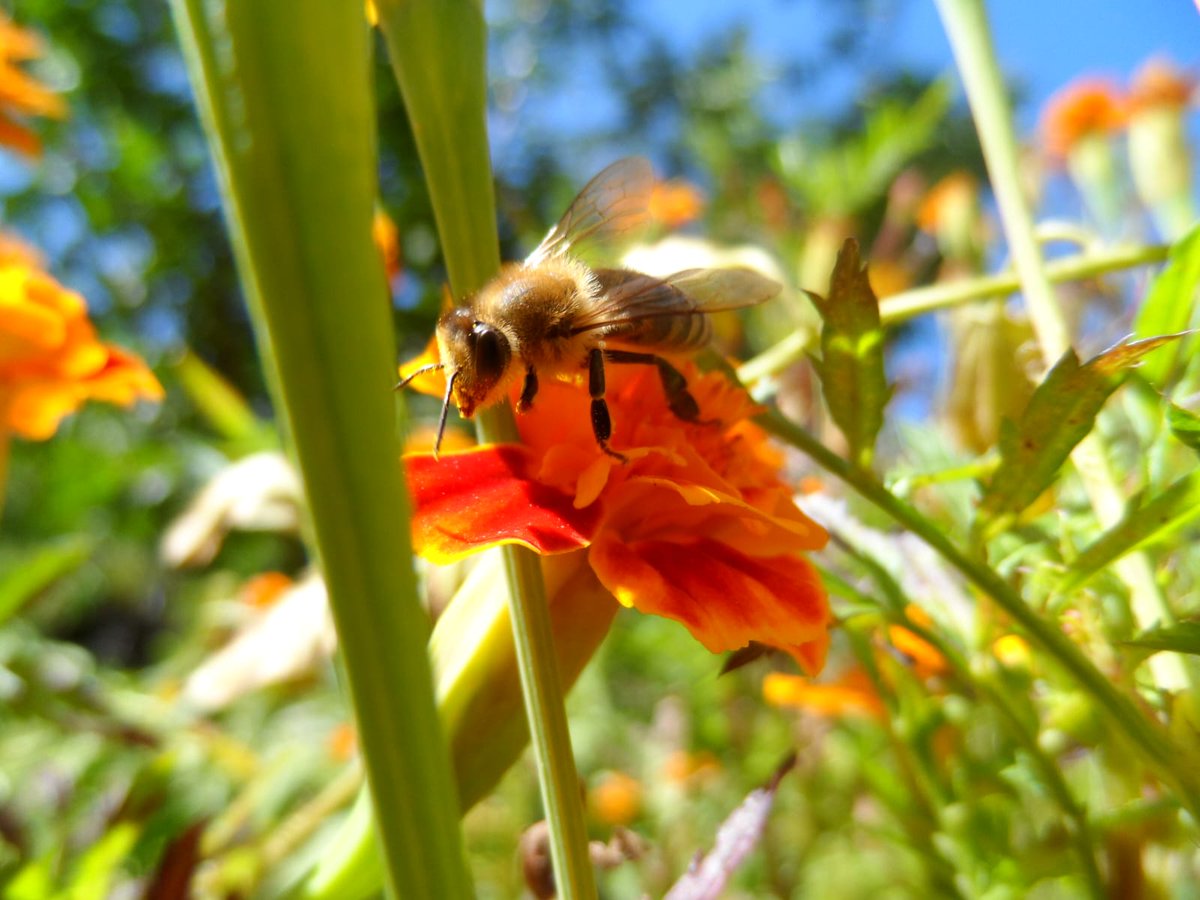 kardeşim çekmiş 👉🏼👈🏼