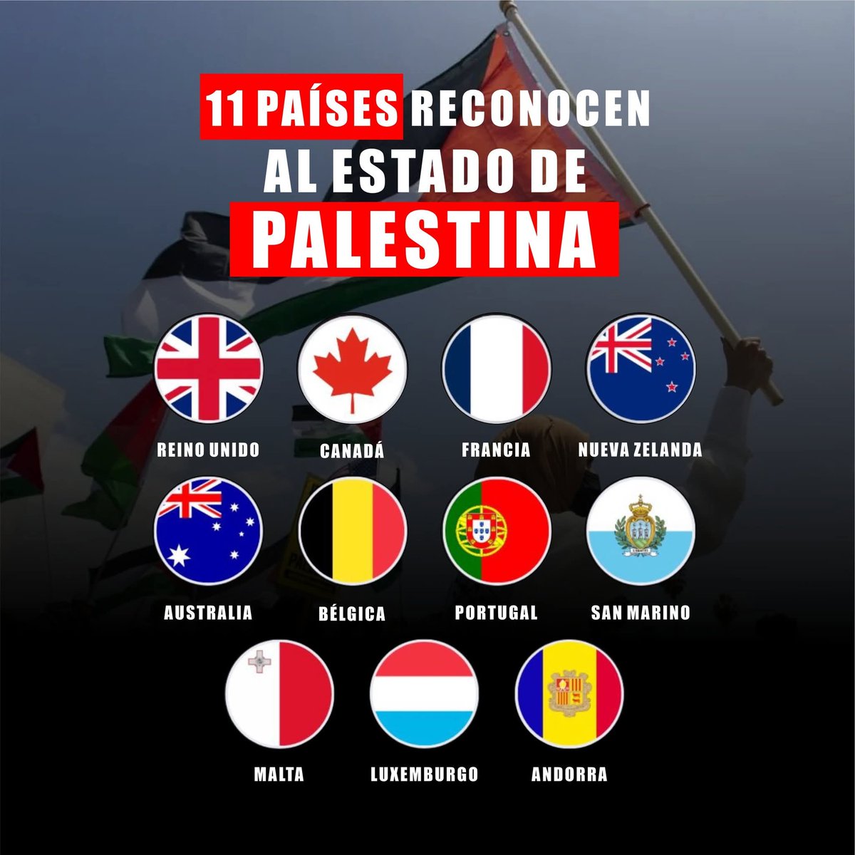 El Reino Unido, Canadá, Francia, Australia y otros siete países planean reconocer al Estado de Palestina en el 80º periodo de sesiones de la Asamblea General de la ONU. Mientras tanto, Estados Unidos sigue financiando el genocidio en curso en Gaza.

#FreePalestine #PalestinaLibre