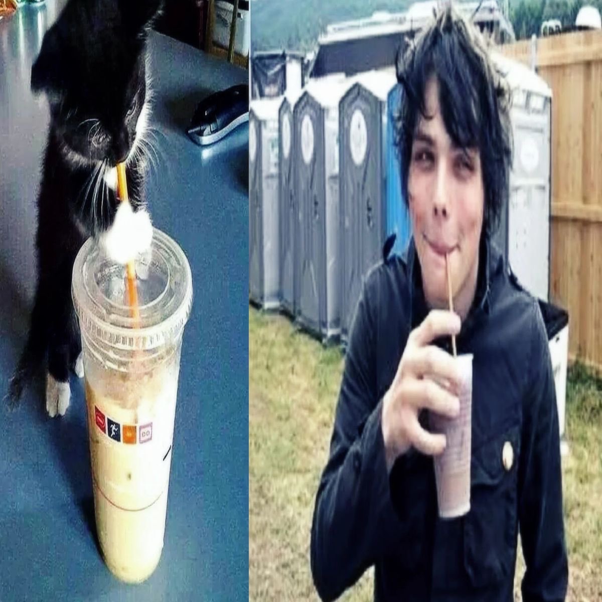 _waycults's tweet image. 