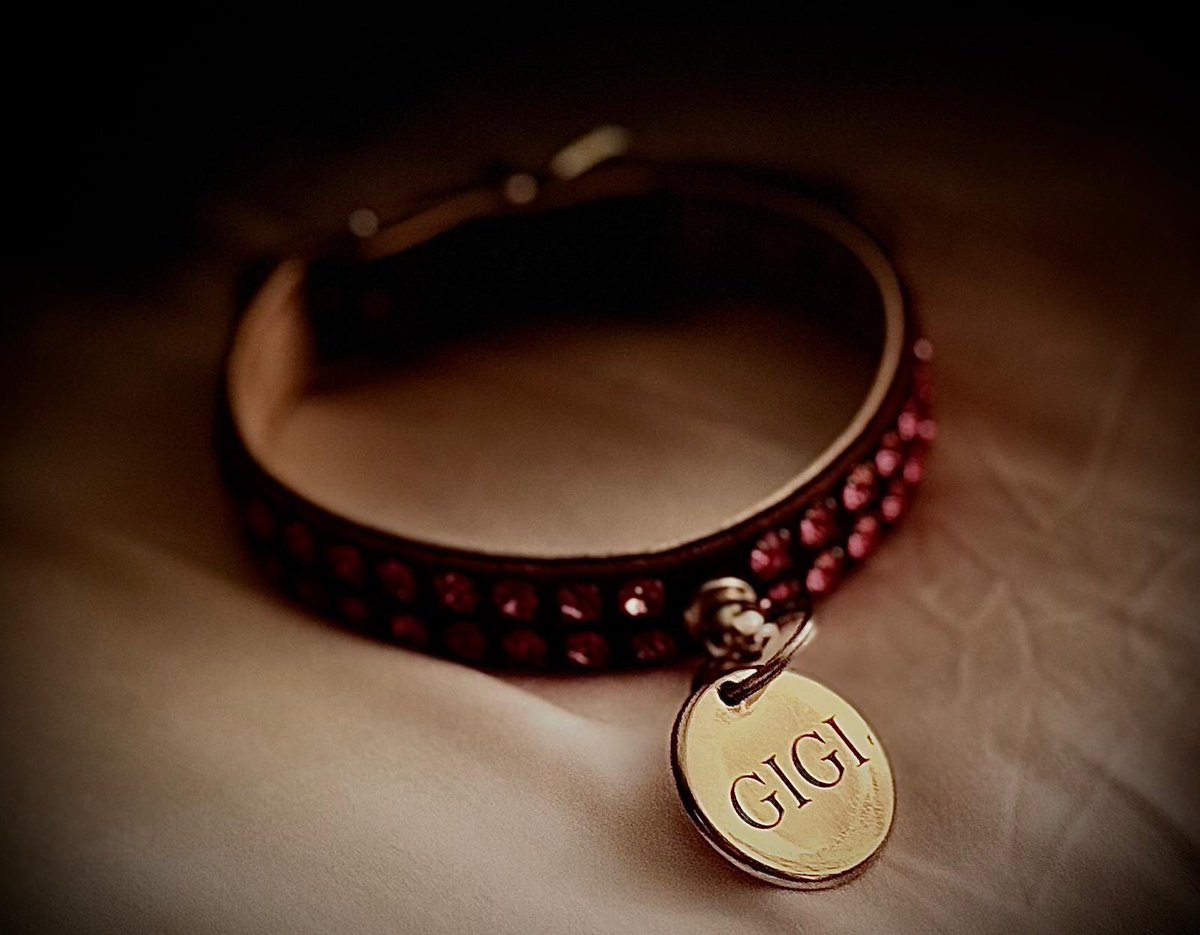 Steph and Dom tweet media