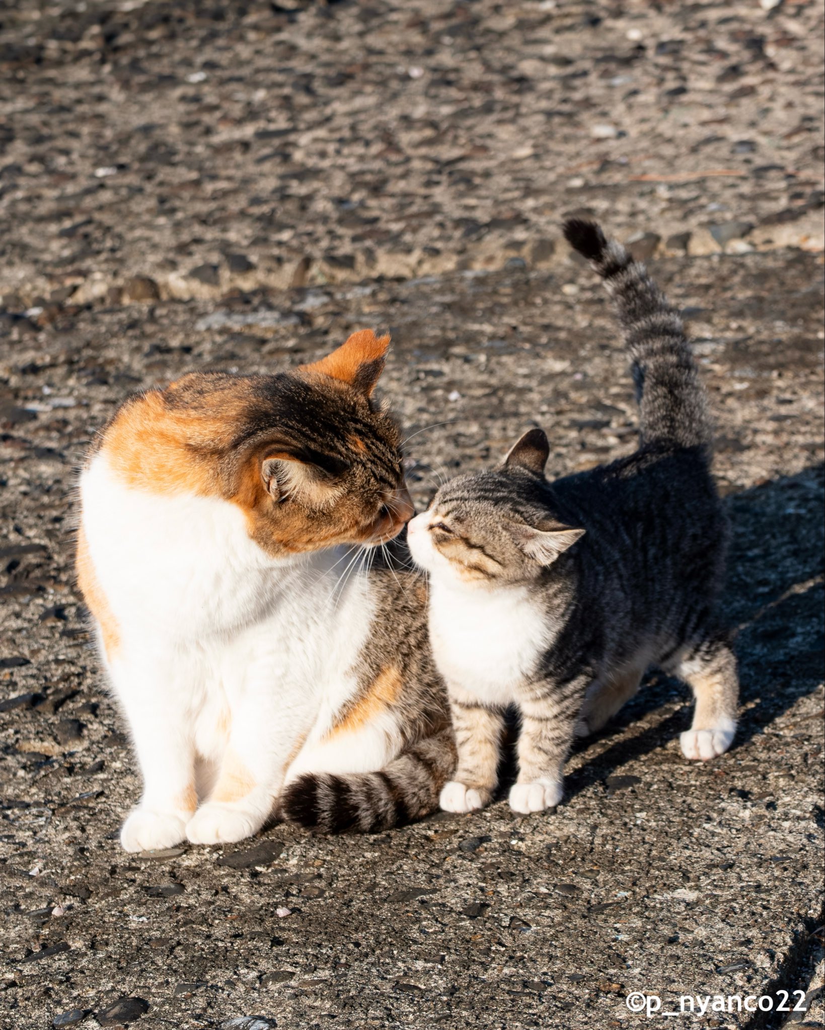 なかよし - Search / X