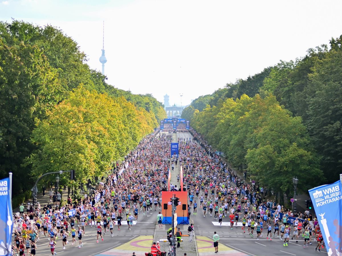 Harry Styles completes the Berlin Marathon in 2 hours, 59 minutes and 13 seconds. 

He reportedly registered under the name Sted Sarandos.