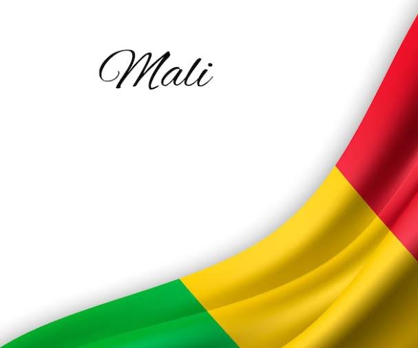 MaîtreMahamane Cisse tweet media