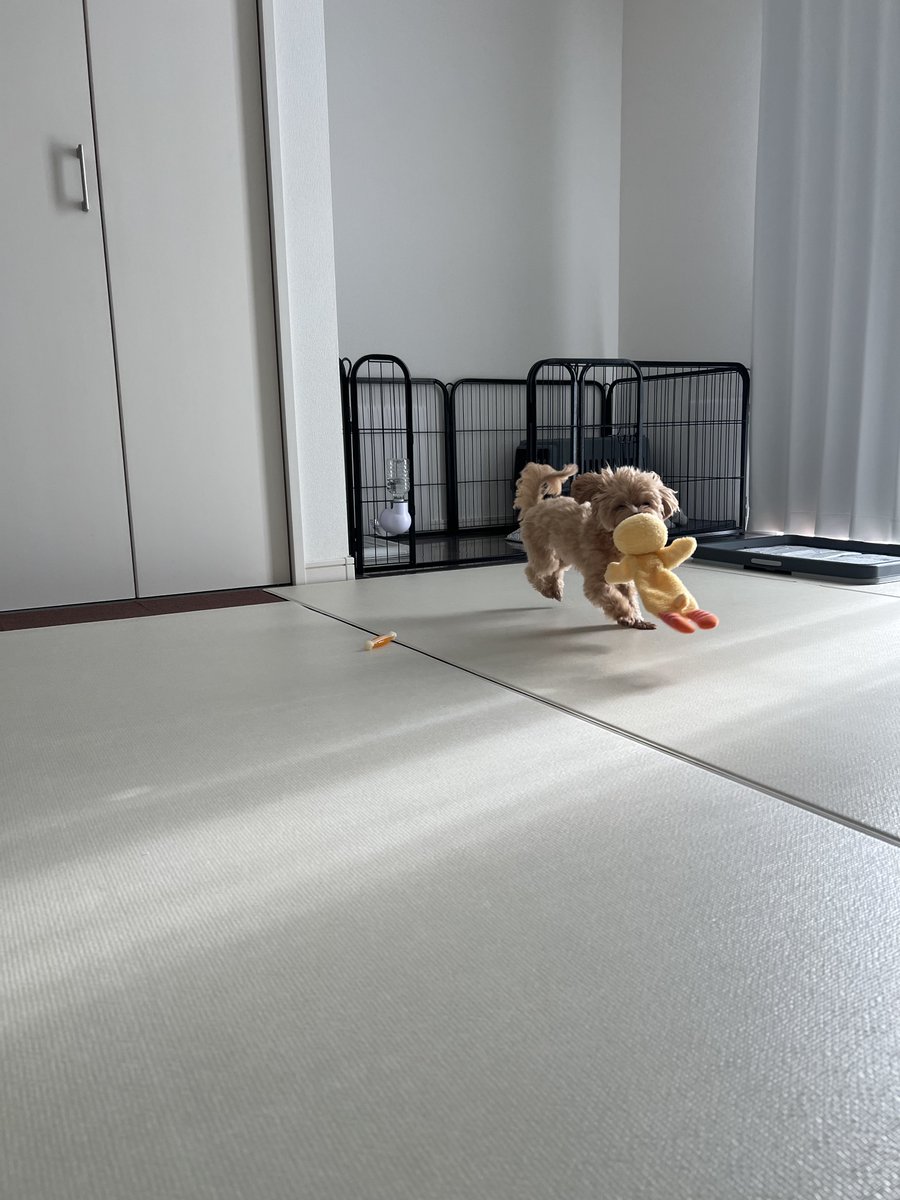 nono_tan_dayo's tweet image. げんき