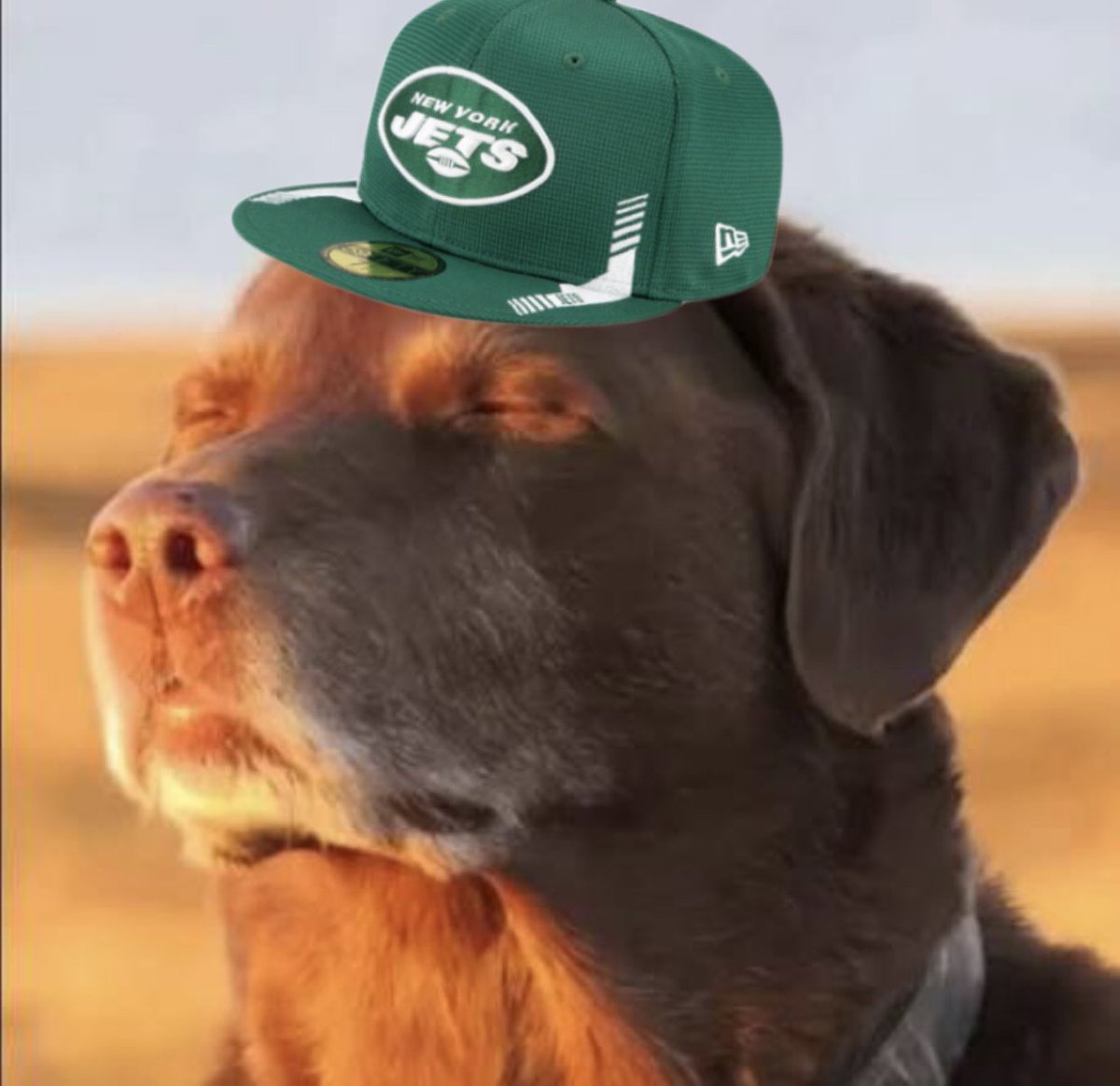 Ian Roddy (@ianroddy_) on Twitter photo 