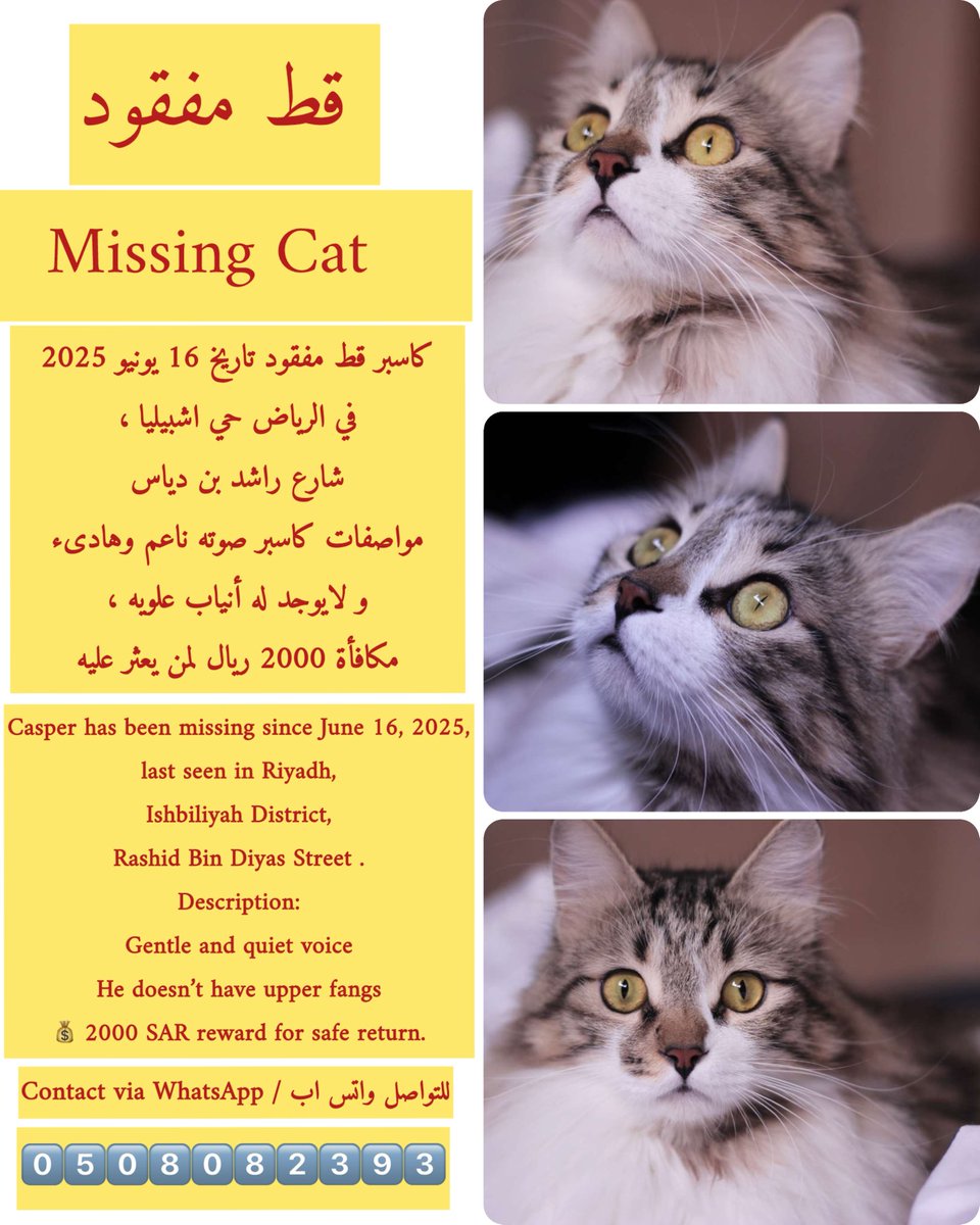 قد يغيب عن أعيننا من نحب،لكن لا يغيب عن الله شيء وهو سبحانه أرحم بقلوبنا مما نتخيل،، اللهم سخّر له من يدلّه علينا،ومن يحسن إليه،ومن يحفظه حتى يعود إلينا بخير،اللهم إنا استودعناك كاسبر أمانة في ودائعك التي لا تضيع،فرده إلينا عاجلًا غير آجل،يا رحيم يا كريم🤍