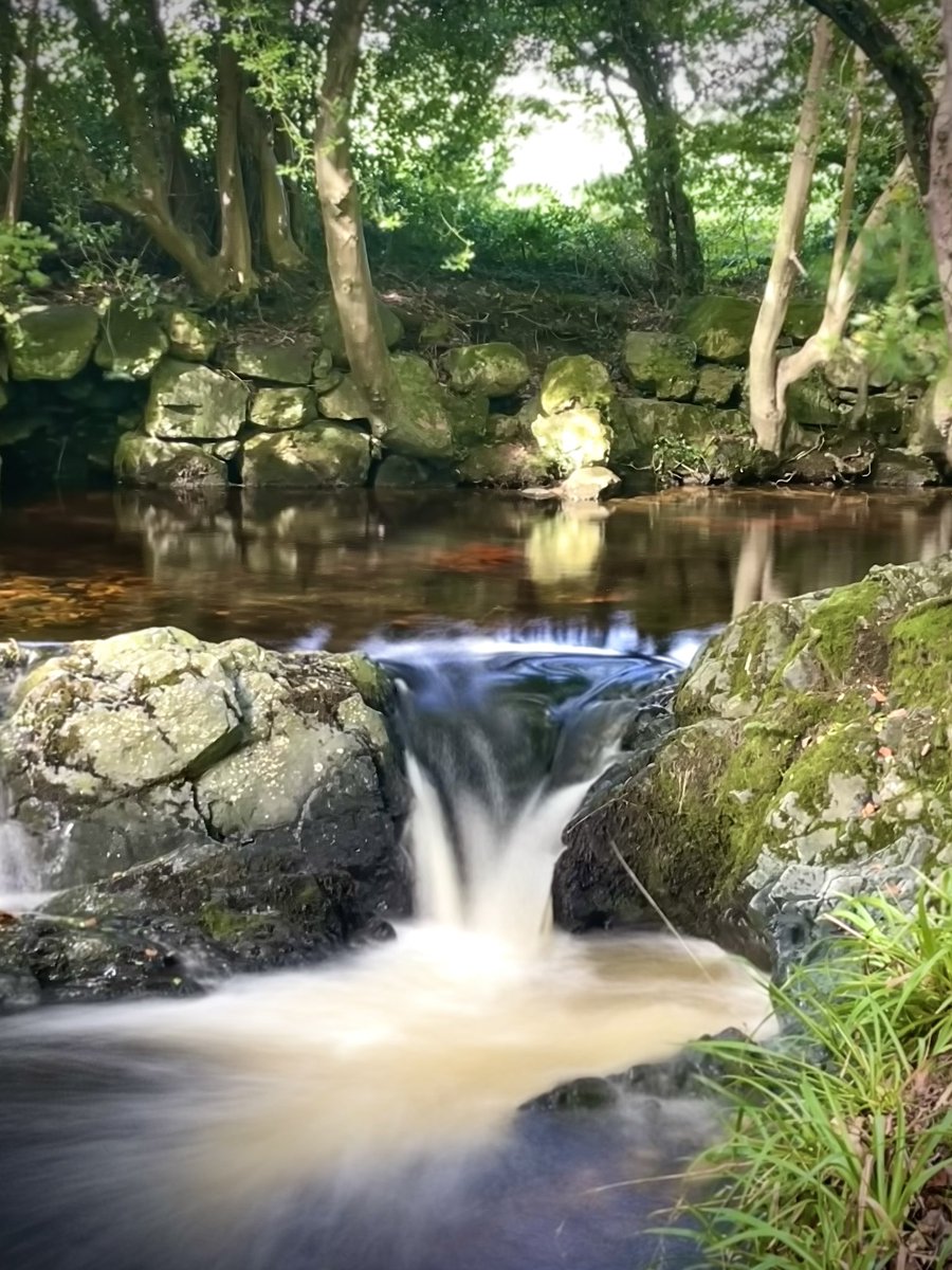 ACVDW's tweet image. Autumn ambles 🍂