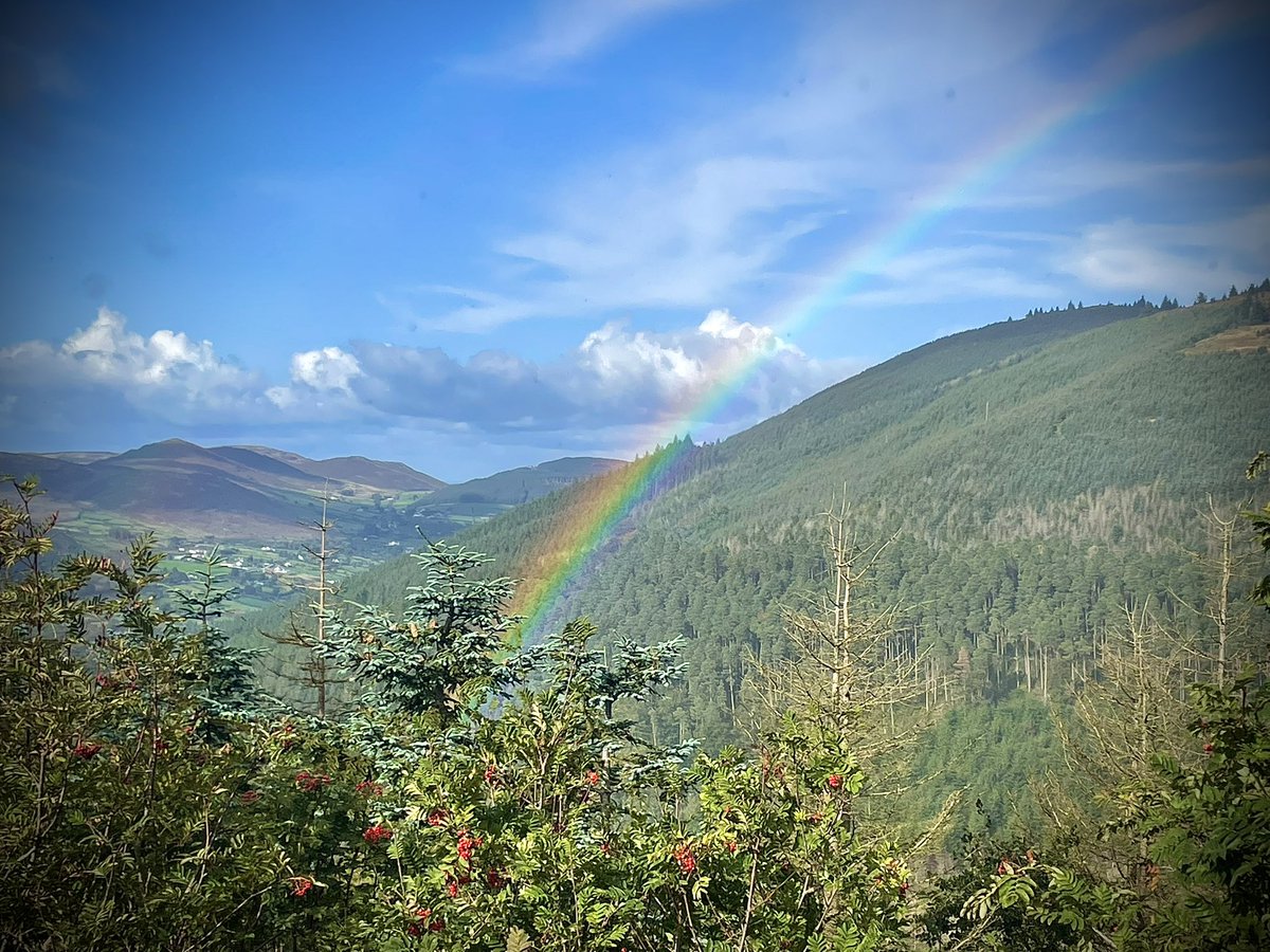 ACVDW's tweet image. Autumn ambles 🍂