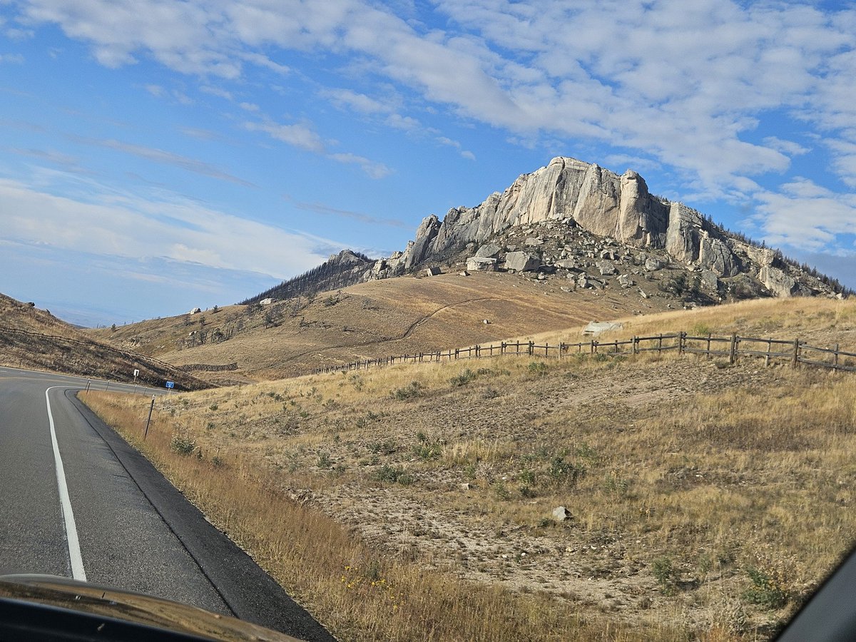 Kayde_Woof tweet media