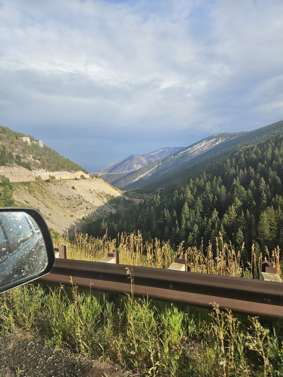 Kayde_Woof tweet media