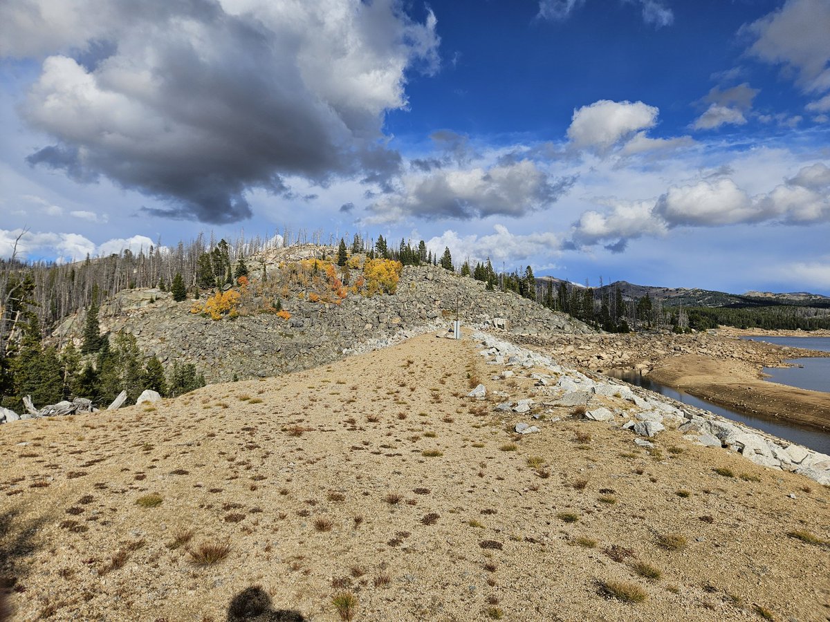 Kayde_Woof tweet media