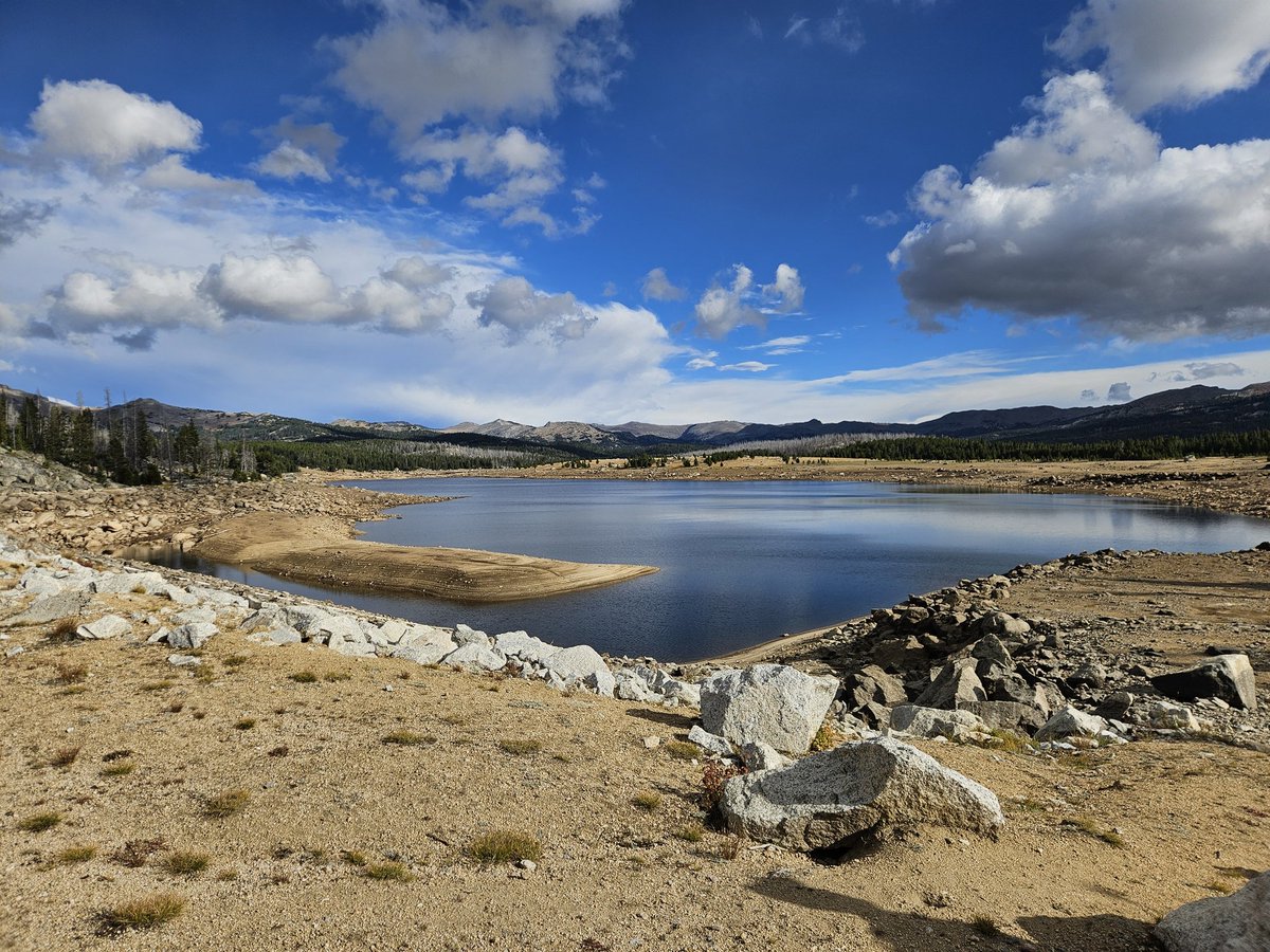 Kayde_Woof tweet media