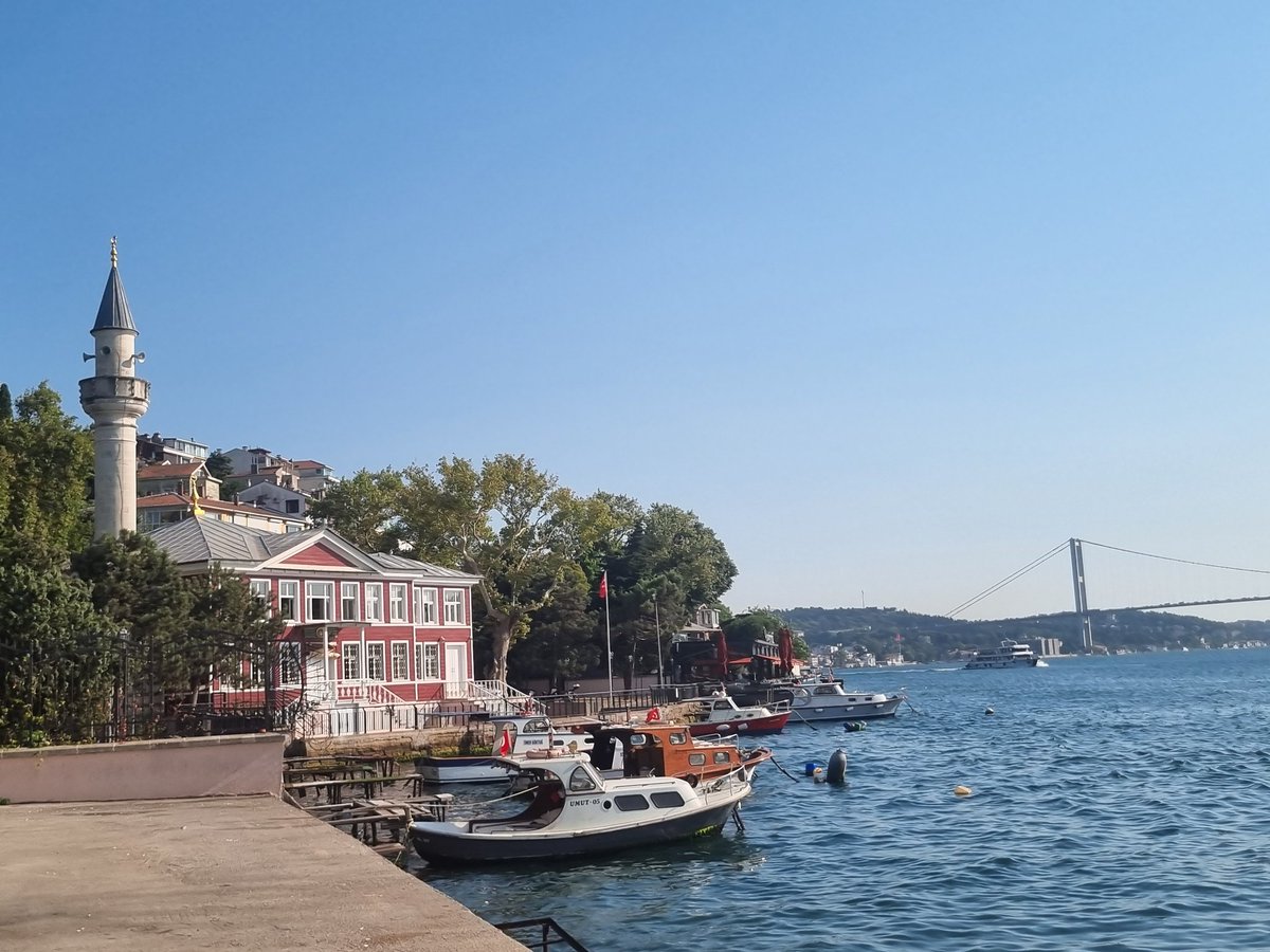 Erdem Yavuz Ekici (@erdemyavuzekici) on Twitter photo 