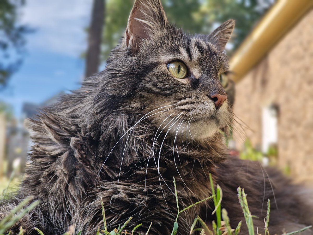 Uthris (@uthris) on Twitter photo 