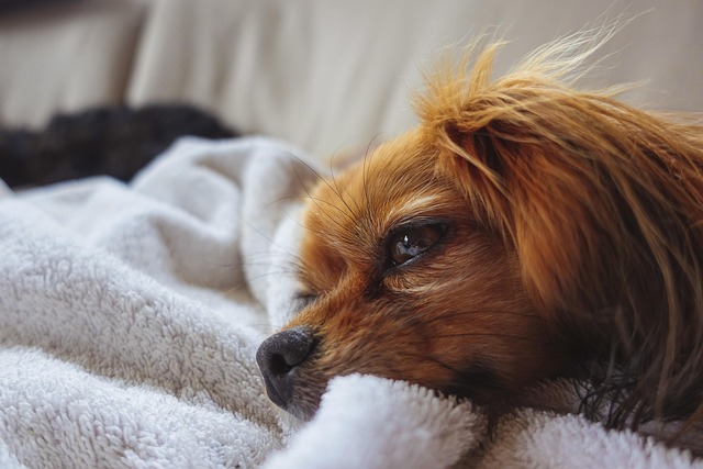 Bokep_jav_XPZr's tweet image. I can discover interior design styles, explore them and create spaces that I love through Pinterest.

#ForChange