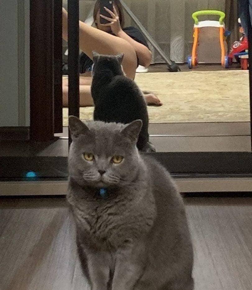 PhAn KiM LiNH tweet media