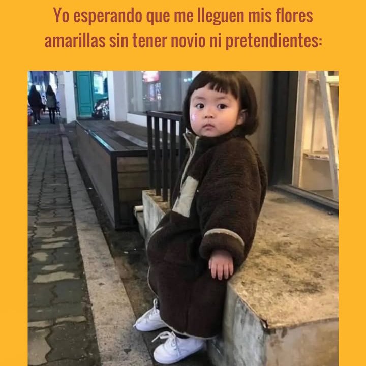 Solscami's tweet image. 