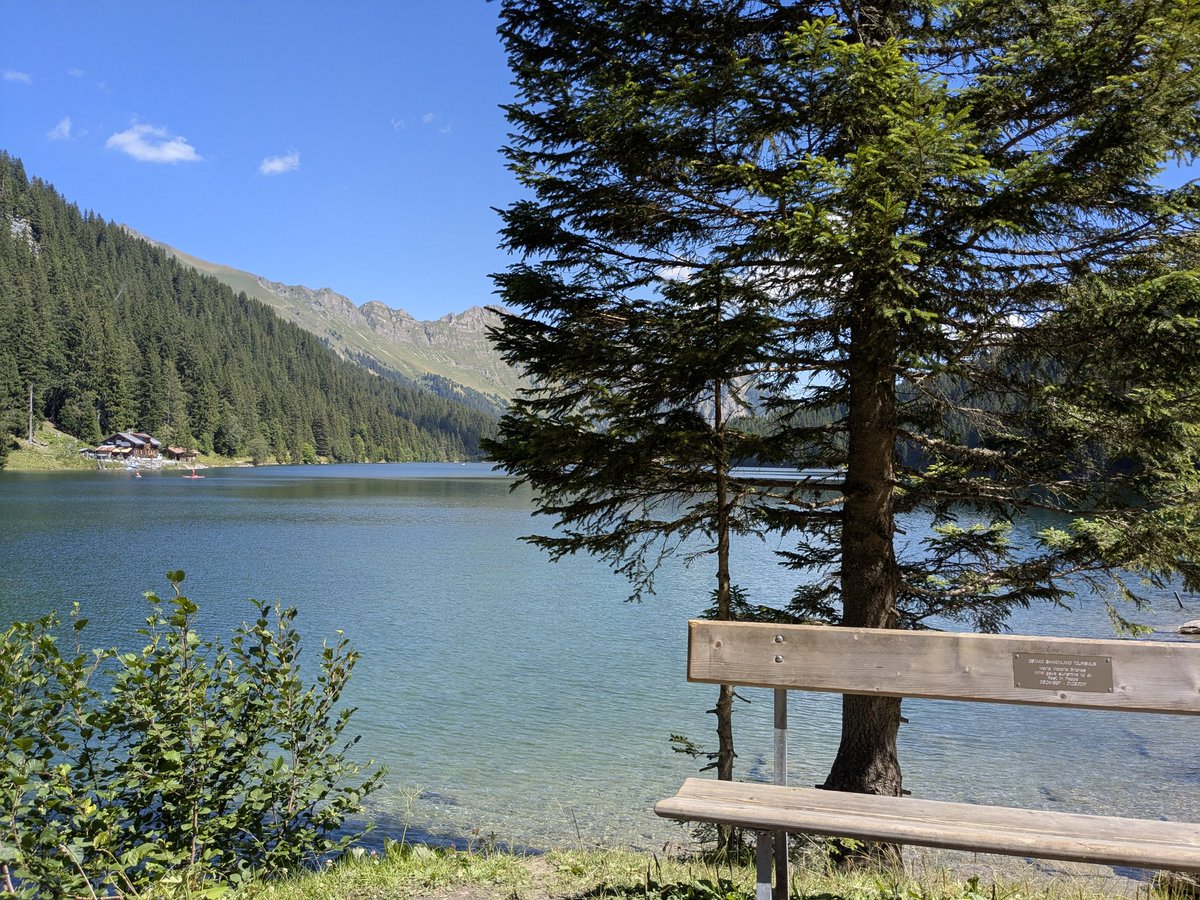 Edsunline37's tweet image. Parfois, j'ai juste envie que le temps s'arrête. Juste profiter du moment présent en silence, se poser, sentir le soleil d'automne sur son visage les yeux fermés. Juste vivre et ne penser à rien. Prenez soin de vous.