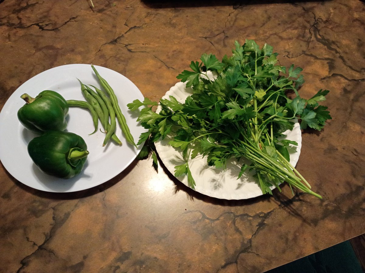 dtledet's tweet photo. I'm happy to have fresh herbs and vegetables still growing in my garden! 😁❤️ https://t.co/Dtcu6iQyjr