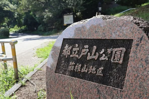 ChikatsuHayashi's tweet photo. いよいよ明日、９．２３国民運動 ＠新宿戸山公園 早稲田口１０時

日本国民の命を守る最後の戦いへ。

総裁選より、日本覚醒・国民運動！

【 ご連絡 】

☞ ☞「WHO脱退うちわ」（運営費のご寄付頂いた方に進呈）へのサイン会を予定。

・公園や街ですれ違う子供たちに優しい声かけをお願いします。私たちの宝です。

・公園入口の北�� マンション周辺では住民の皆様にご配慮下さい。

・当日、暑いことも予想されるので、各自水筒やペットボトルを持参し、水分補給に十分ご留意ください。

・ゴミの持ち帰りにご協力ください。

・公園内は全面禁煙です。

・少雨決行です。豪雨等で中止の場合は当日朝6:30、国民運動の公式X、林先生のXやFBなどで告知します。

・万が一、梯団に入れなかった方は、パレードデモコース沿道での応援・声援をお願い致します。

・牛込箪笥区民ホールは満員御礼となりました、感謝申し上げます（当日券はございません）。受付開始は18:00です。ホール近傍に集まり通行を妨げないようご注意ください。