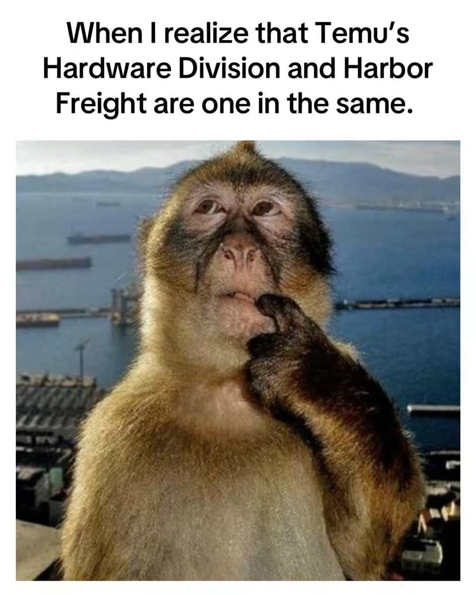 #comedy #jokes #cleancomedy #temu #harborfreight