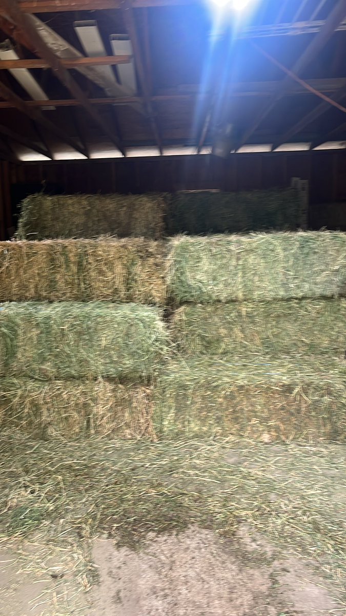 Michelle Warren tweet media