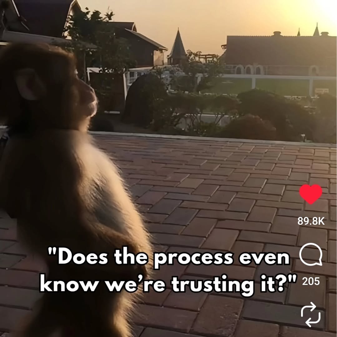 MaleThoughtx's tweet image. 