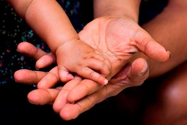 🚨URGENTE - Deputado Kim Kataguiri apresenta projeto de lei para que vínculos sócioafetivos não gerem obrigação de pagar ou receber pensão alimentícia