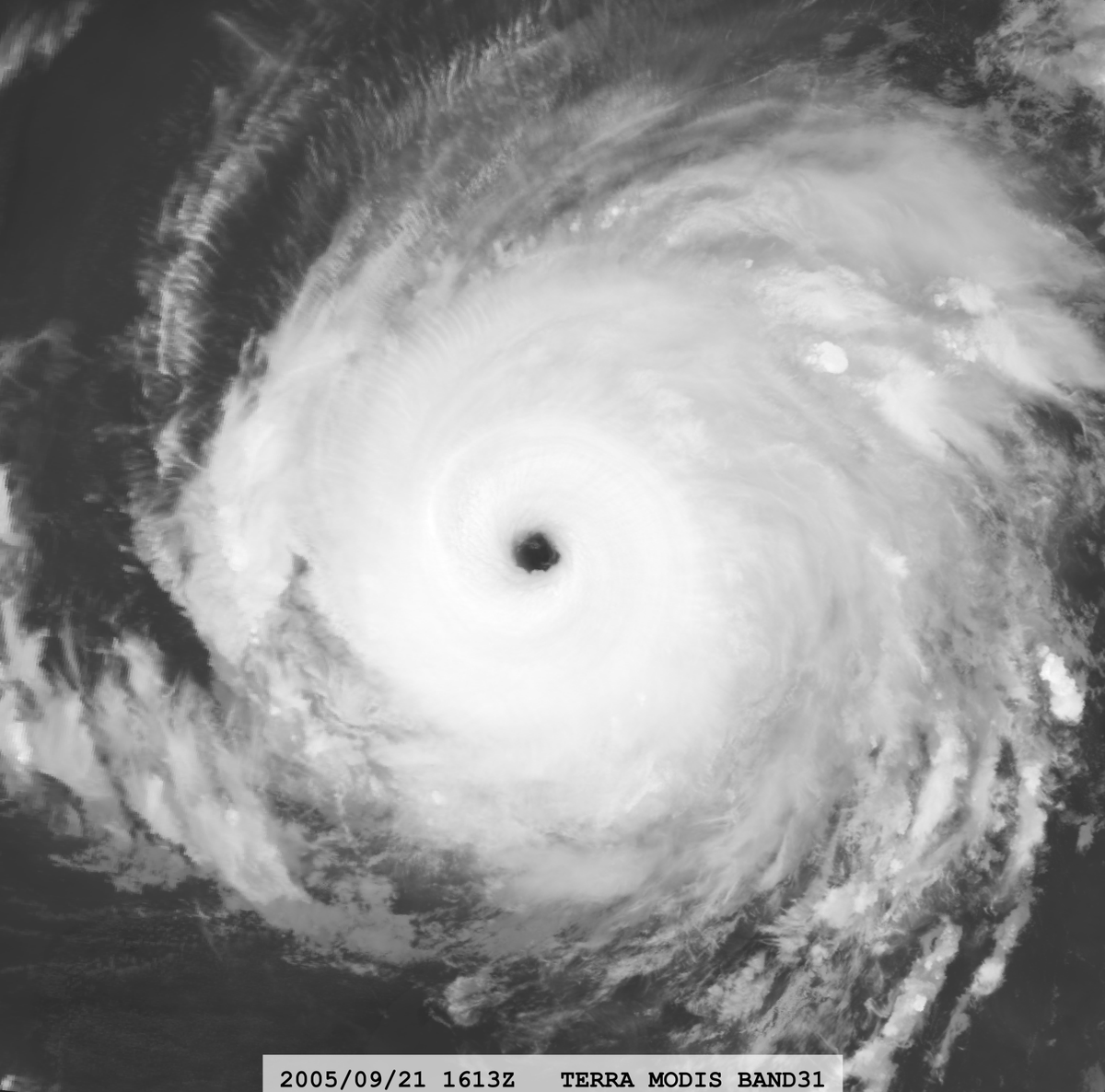 zeb199818's tweet photo. Hurricane #18L #RITA 20-year Anniversary
Satellite: #TERRA #MODIS
Channel : 
BAND-01 (0.645 µm) 250-m BAND-27 (6.715 µm) 1-km BAND-31 (11.030 µm) 1-km
Time : 2005/09/21 1613Z
Eye Temp (IR) : 24.30 °C
Eye Temp (WV) : -23.54 °C
CPA : ~350 km
Aircraft Observation : 920 mb 1753Z https://t.co/MuGcy3kPbO