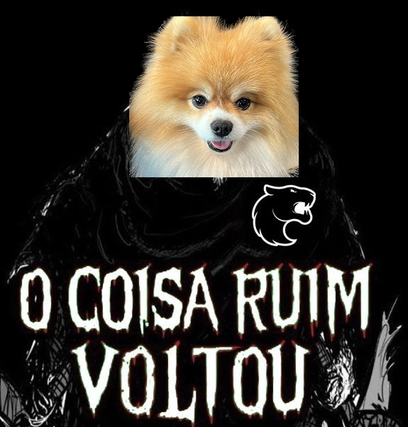 La Tribonera 🏟️ tweet media